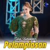 Silvy Kumalasari - Pelampiasan