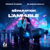 Séparation À L'amiable (feat. Blanche Bailly) - Single