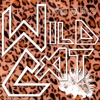 Wild Cat - Single