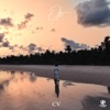 Cv - Single