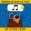 Die Sterne Lieder - EP, 2024