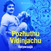 Pozhuthu Vidinjachu (Original Motion Picture Soundtrack) - EP