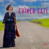 Evînek Safî - Single