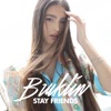 Stay Friends - Single