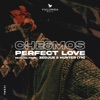 Perfect Love - Single