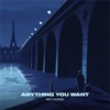 Anything You Want - Single