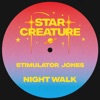 Night Walk - Single