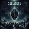 Forever in The Dark - Single