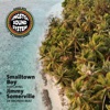 Kingston Sound System - Smalltown Boy
