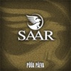 Mikk Saar - Vanne