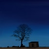 Buzibe - Single