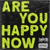 ARE YOU HAPPY NOW - Single