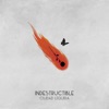 Indestructible - Single
