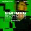 Echoes (TCTS Remix) - Single