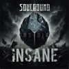 Insane - Single