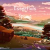 Essentials Spring