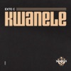 Kwanele - Single