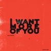 I Want More of You - Single