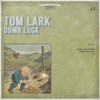 Dumb Luck - Single