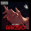 Aarzoo - Single