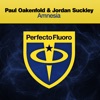 Paul Oakenfold - Amnesia