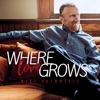 Where Love Grows - Single