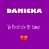 Te Perdiste Mi Amor - Single