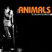 The Animals - Baby Let Me Take You Home