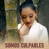 SOMOS CULPABLES - Single