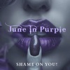 Shame On You - Single