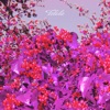 Ready - Single