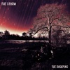 The Storm - Single