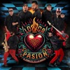 Loca Pasion - Quiero Quiero (Live)