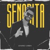 Senorita - Single