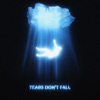 Kaskade - Tears Don’t Fall