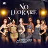 No Lloraré - Single