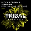 Feel the Love (My Soul) - Single