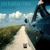 Pe Barba Mea - Single