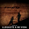 Llegaste a Mi Vida - Single