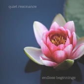 Quiet Resonance - i once was blind and maybe i still am