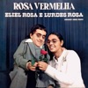 Rosa Vermelha