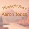 Wonderful Peace - Single