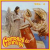 Carrusel de Cumbias, Vol. 6