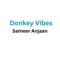 Donkey Vibes cover