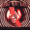 What You Want - Single