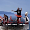 Cu Mbush Mali Parodi - Single