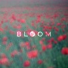 Bloom - Single, 2024
