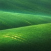A Utopia Exists Somewhere (The Bad Days Version) - Single