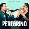 Peregrino (Ao Vivo) - Single