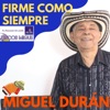 Miguel Duran - Lluvira
